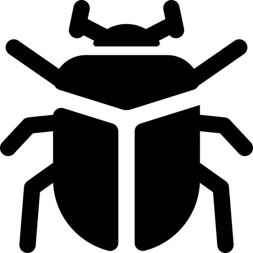 甲虫