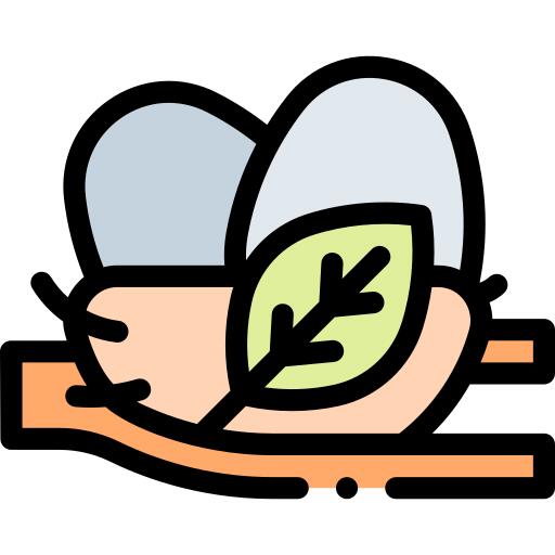 巢