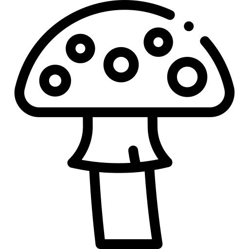 蘑菇