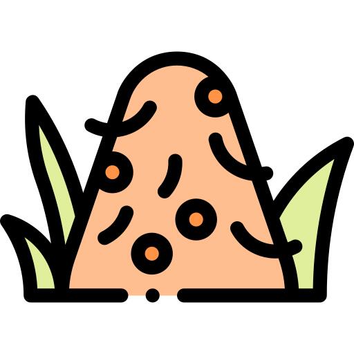 垤