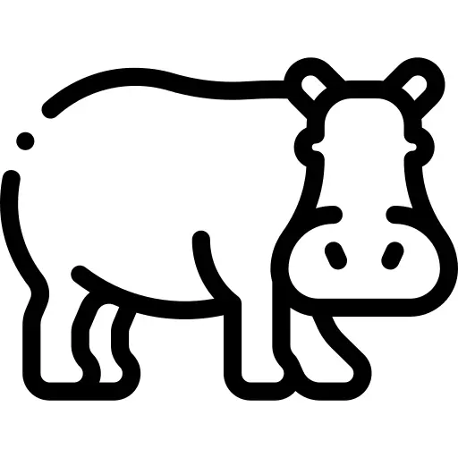 Hippopotamus