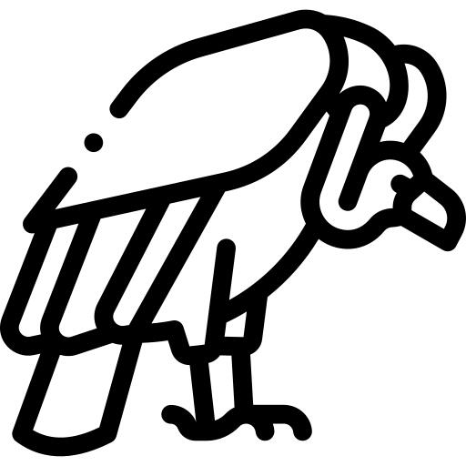 秃