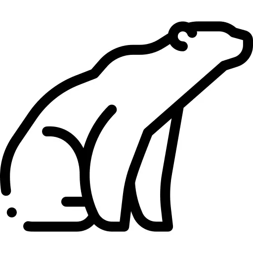 Polar bear