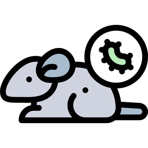 鼠