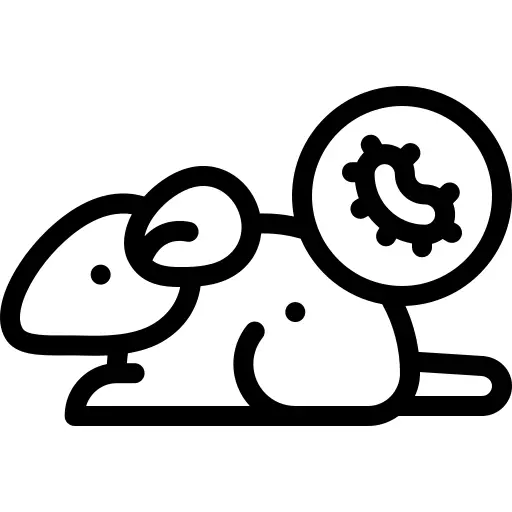 鼠
