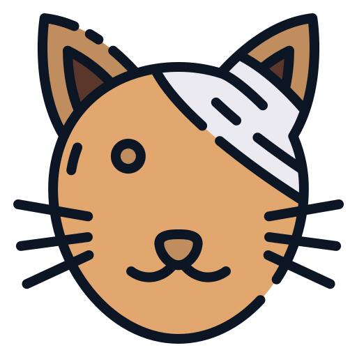 绷带
