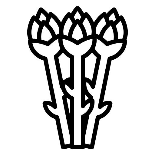 芦笋