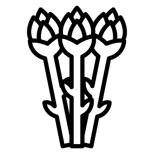 Asparagus