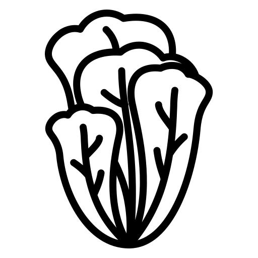 生菜