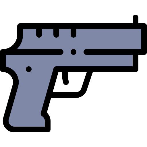 Gun