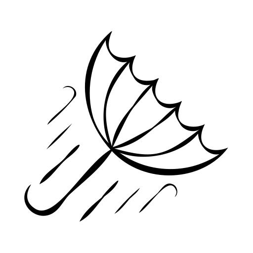 风