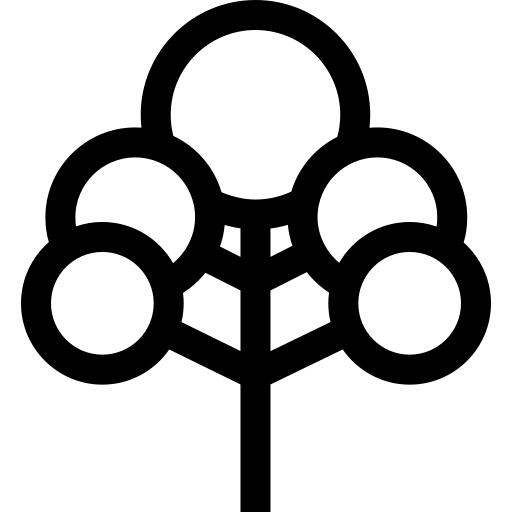 樱