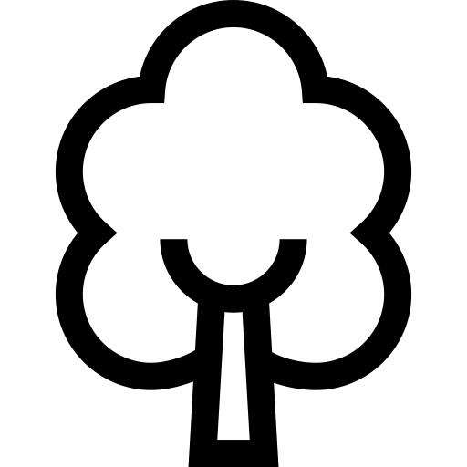 白桦树