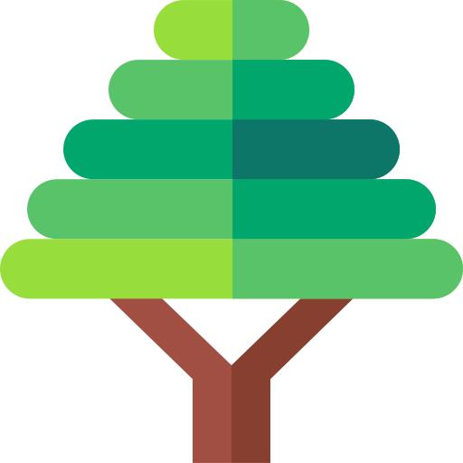 Bonsai