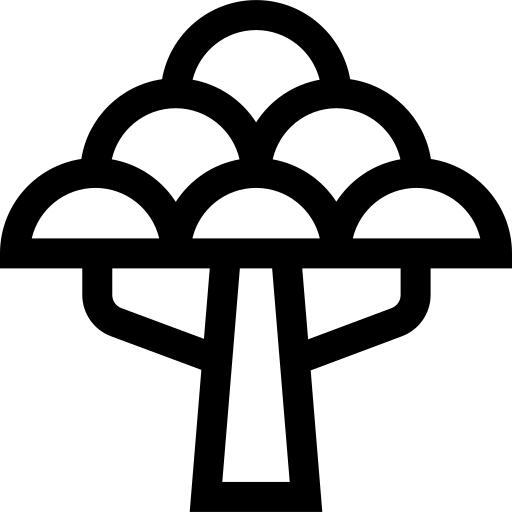Baobab
