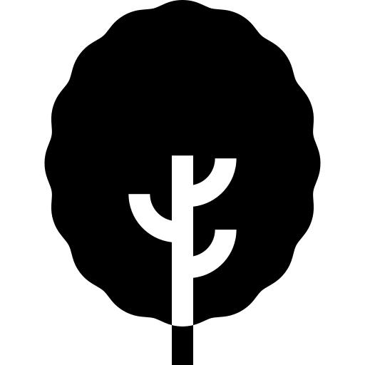 林登