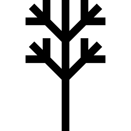 树枝