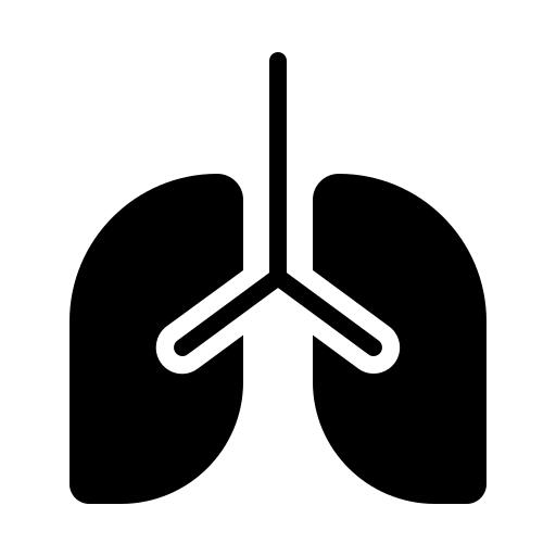 Lung