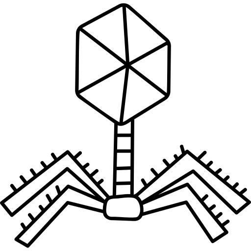 Virus