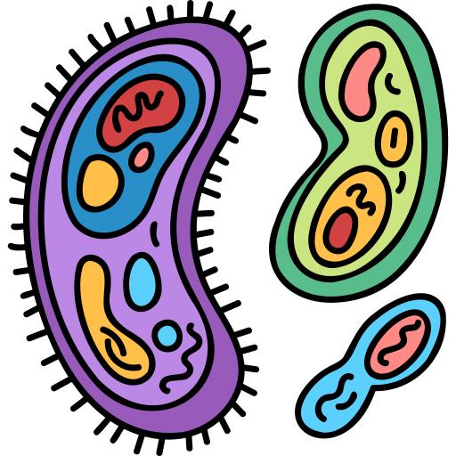 Virus