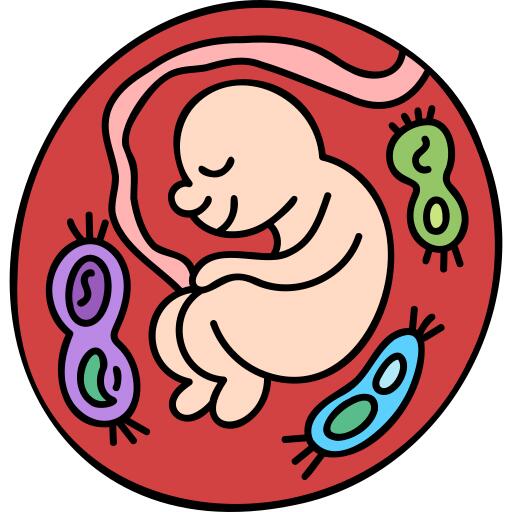 Embryo