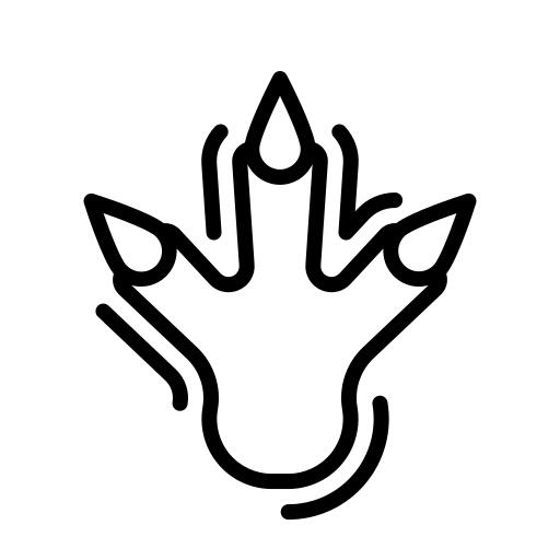 Footprint