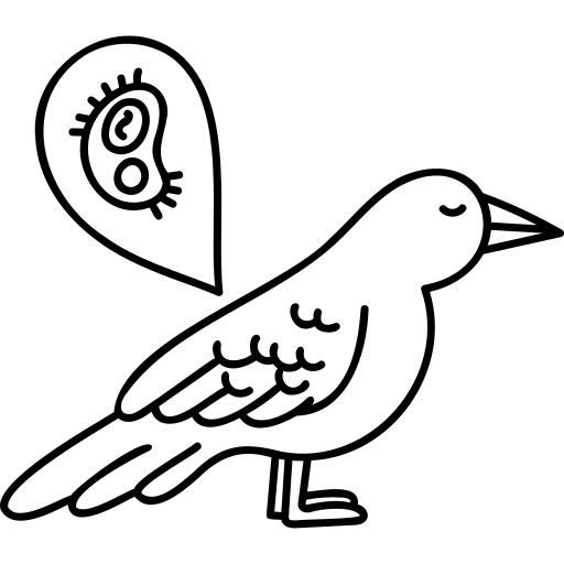 鸟
