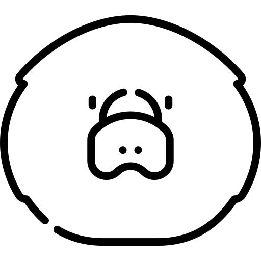 鸭嘴兽