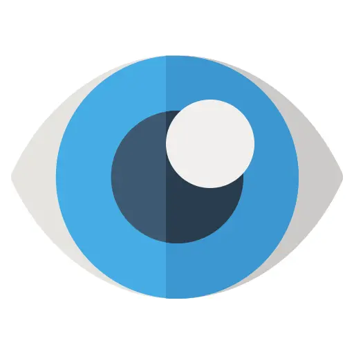 Eye