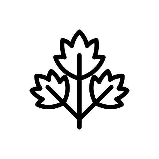 香菜