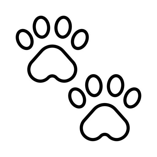 Paw print