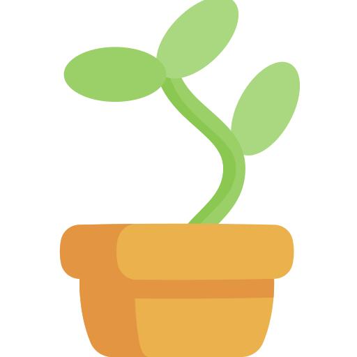 花盆
