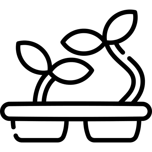 播种