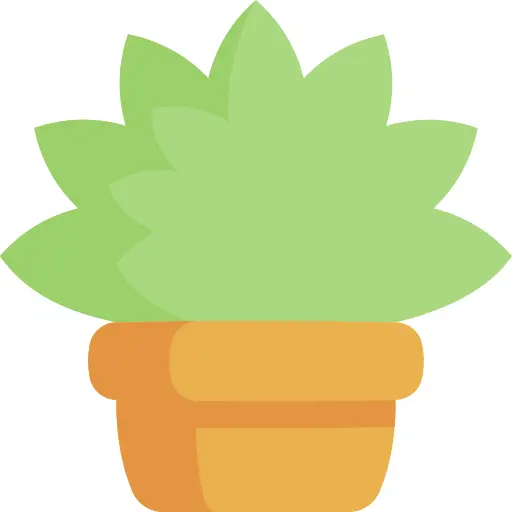 Plant pot