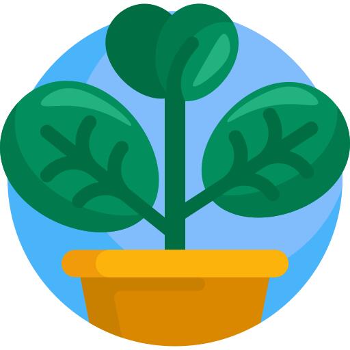 Plant