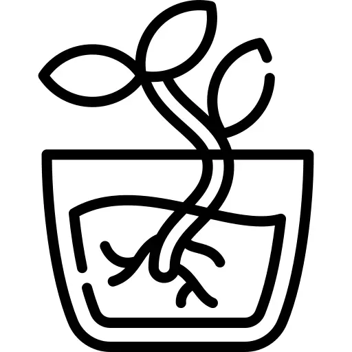 Plant pot
