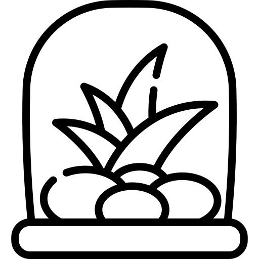 Terrarium