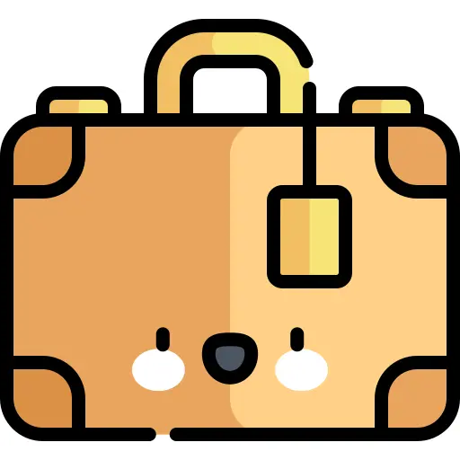 Luggage