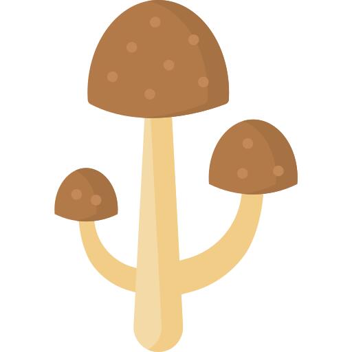 Hallucinogen