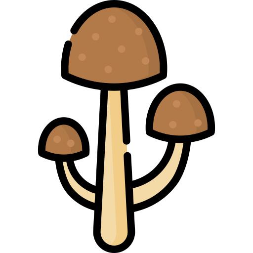Hallucinogen