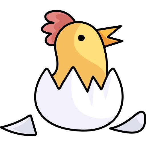 小鸡