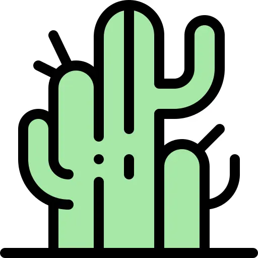 Cactus