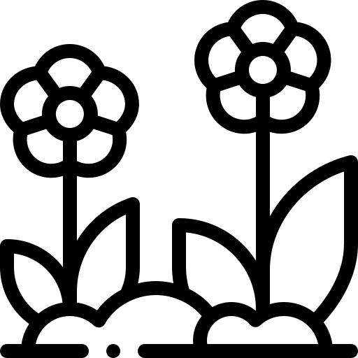 花卉