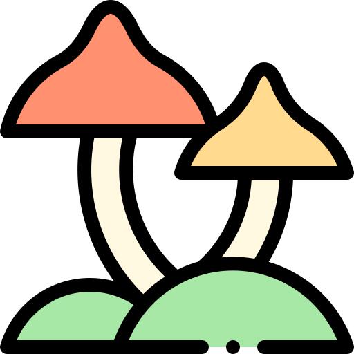 Mushroom