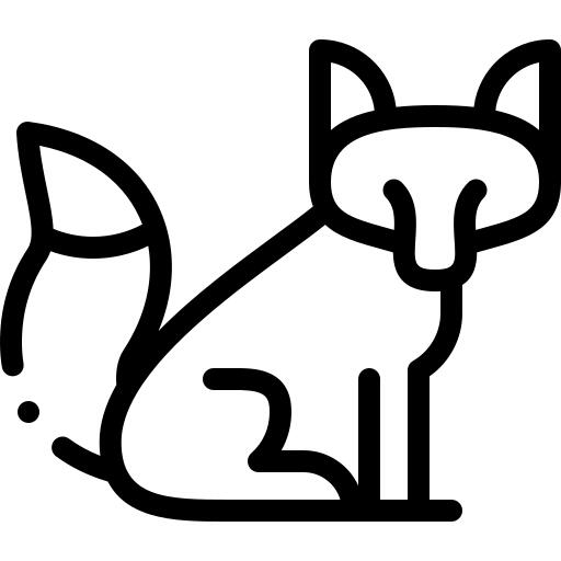 狐狸