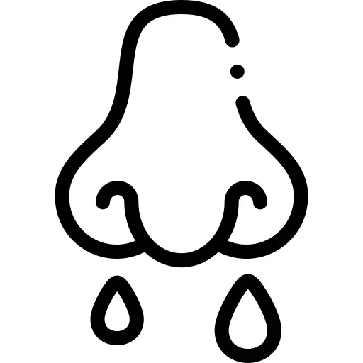 Runny nose