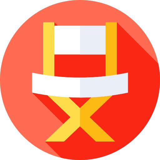 导向器