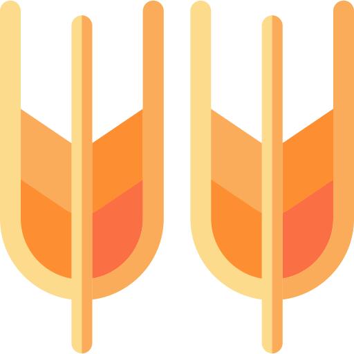 Corn
