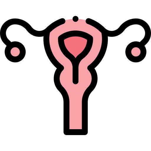 子宫