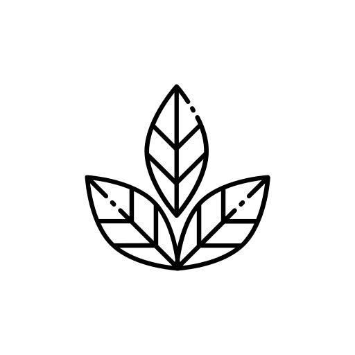 植物叶